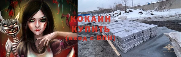 твердый Алексин